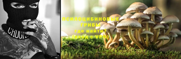 прущий лед Арсеньев