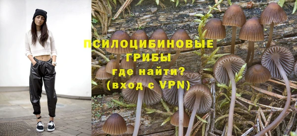 прущий лед Арсеньев