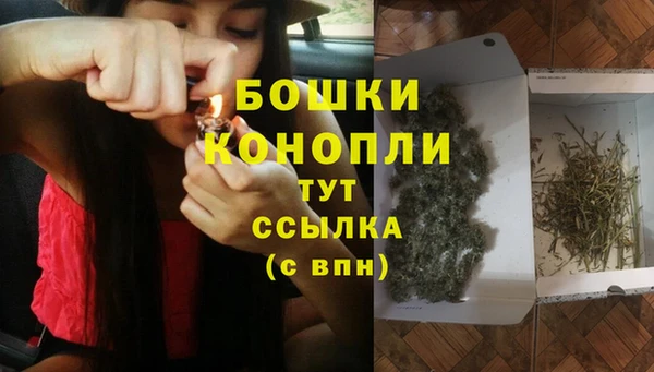 прущий лед Арсеньев